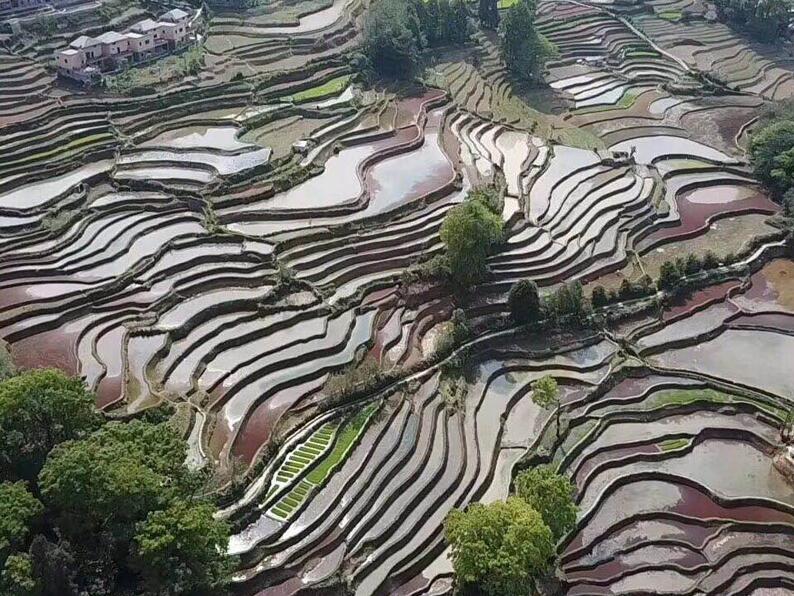品彦设计总监杨彦应客户邀请前往云南水疗项目考察现场